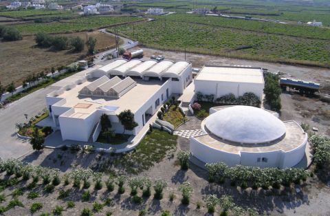 Cooking Class & Wine-tasting tour 3