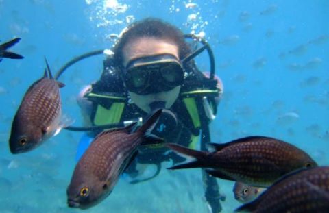 Scuba diving in Corfu 1