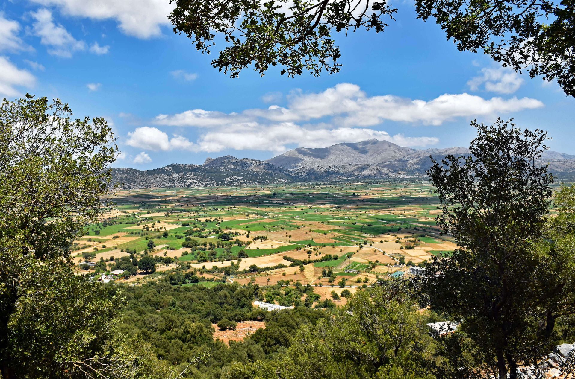 Lassithi: The Plateau, famous for its agricultural activity