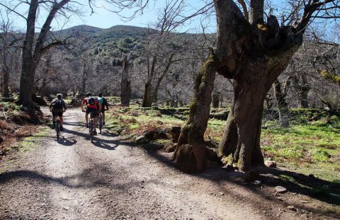 Mountain bike activities in Chania 3