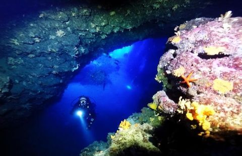 Scuba diving activities in Kefalonia 3