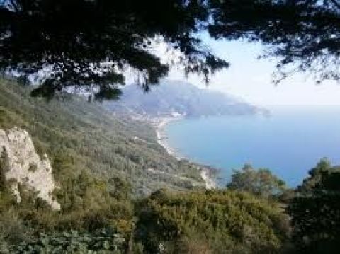 Private Corfu Full Day Wine Tasting Shore Excursion 3