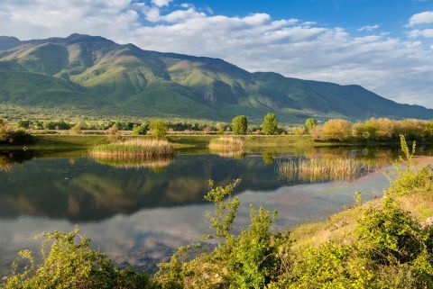 Tour to Lake Kerkini 1