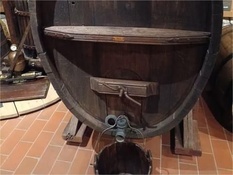 Winery visit with wine tasting experience 3