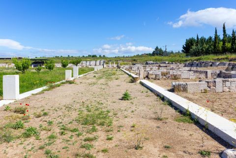 Tour to Pella and Vergina 1