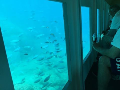 Hop on Hop off Bus and Submarine Tour 3