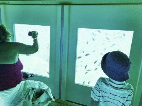 Submarine Cruise with Underwater Views from Rhodes 3