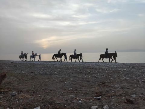 Horseback riding trip with digital photos 1