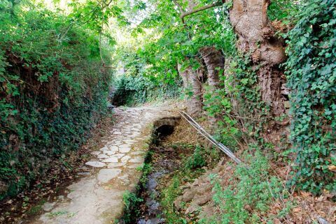 Hike along Potamia river