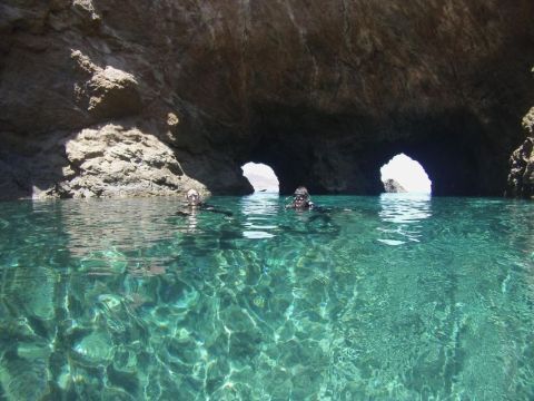 Private Boat Trip & Snorkeling Sea Safari 3