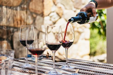 Wine and olive oil tasting tour with snacks 2