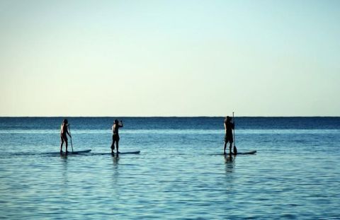 Stand Up Paddle (SUP) Tours & Rentals 2