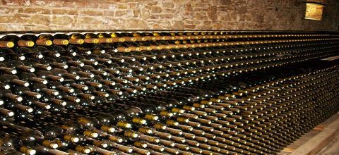 Private Corfu Full Day Wine Tasting Shore Excursion 1