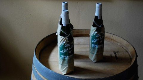 Highlights private half day trip 3