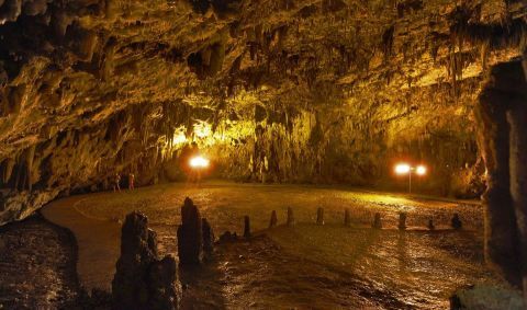 Customized private tour 3