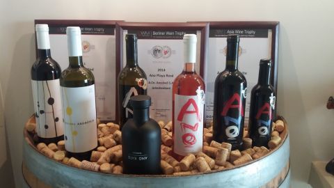 Olive oil and wine tasting at Anoskeli jeep adventure 3